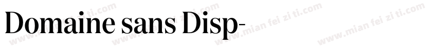 Domaine sans Disp字体转换